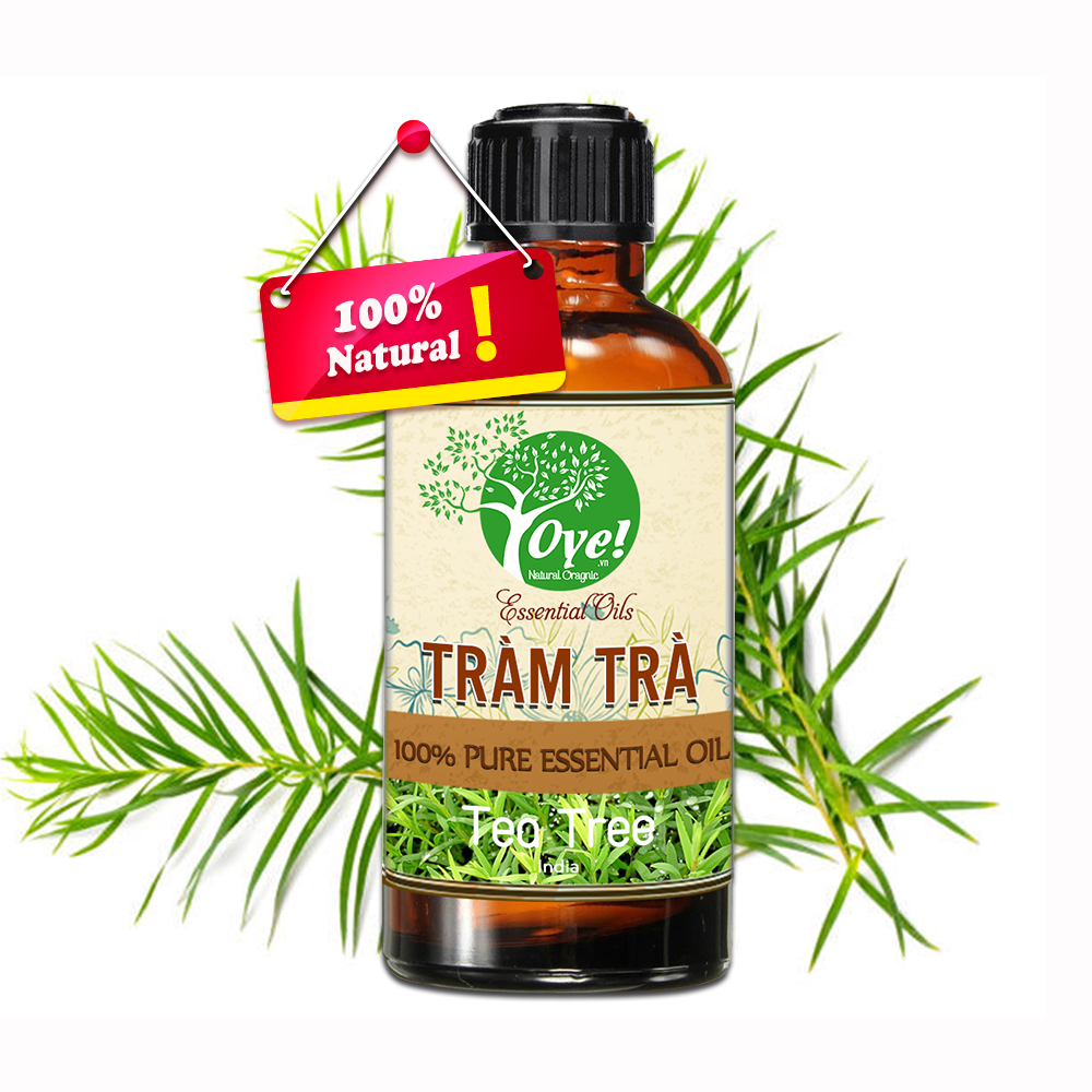Tinh Dầu Tràm Trà  Đuỗi Muỗi - OYe 10ml