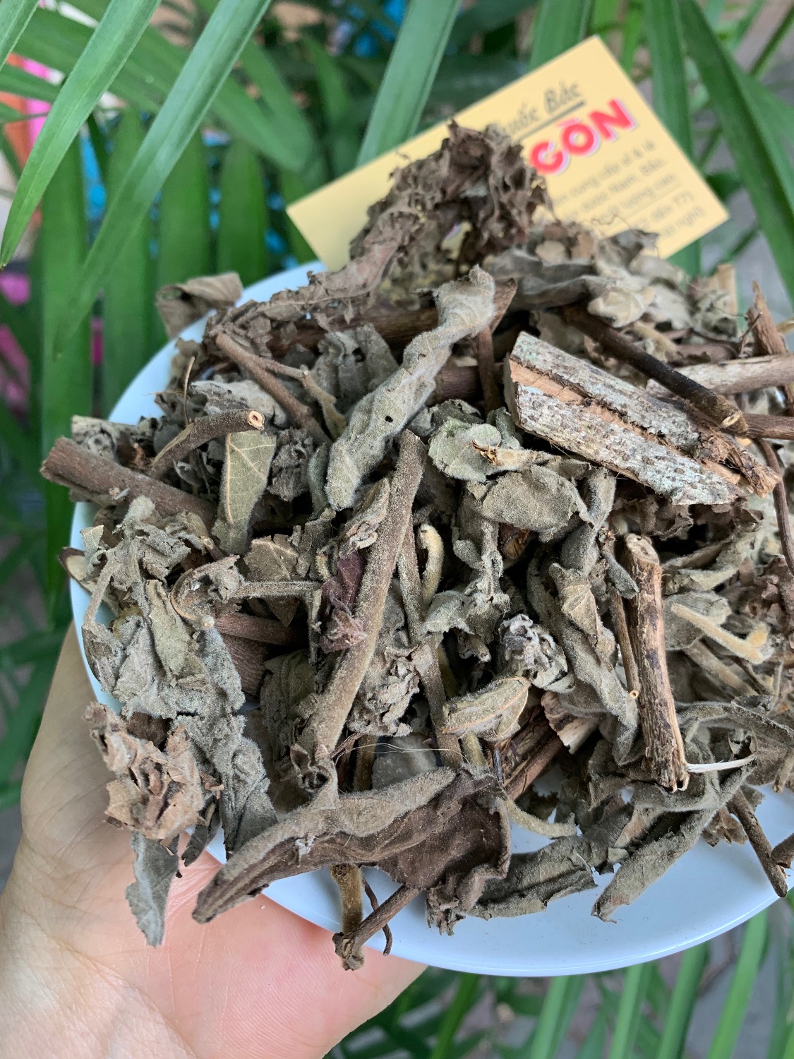 [HCM]CÂY AN XOA 500GRAM Tiệm Thuốc Bắc Sài Gòn