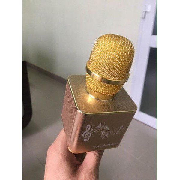 Micro Karaoke Bluetooth LTP YS12 - Tính năng song ca đặc biệt