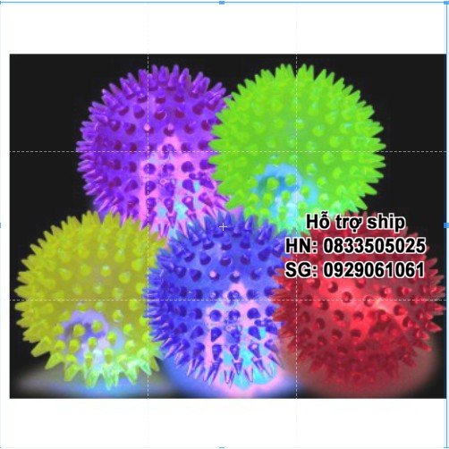 Hanpet - Đồ chơi cho thú cưng - Bóng phát sáng cho chó mèo chơi đùa