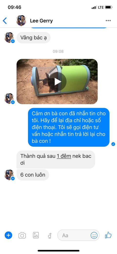 Bẫy Chuột Năm Phước An Giang ( Tặng Kèm Mồi Nhử Chuột Đặc Biệt )