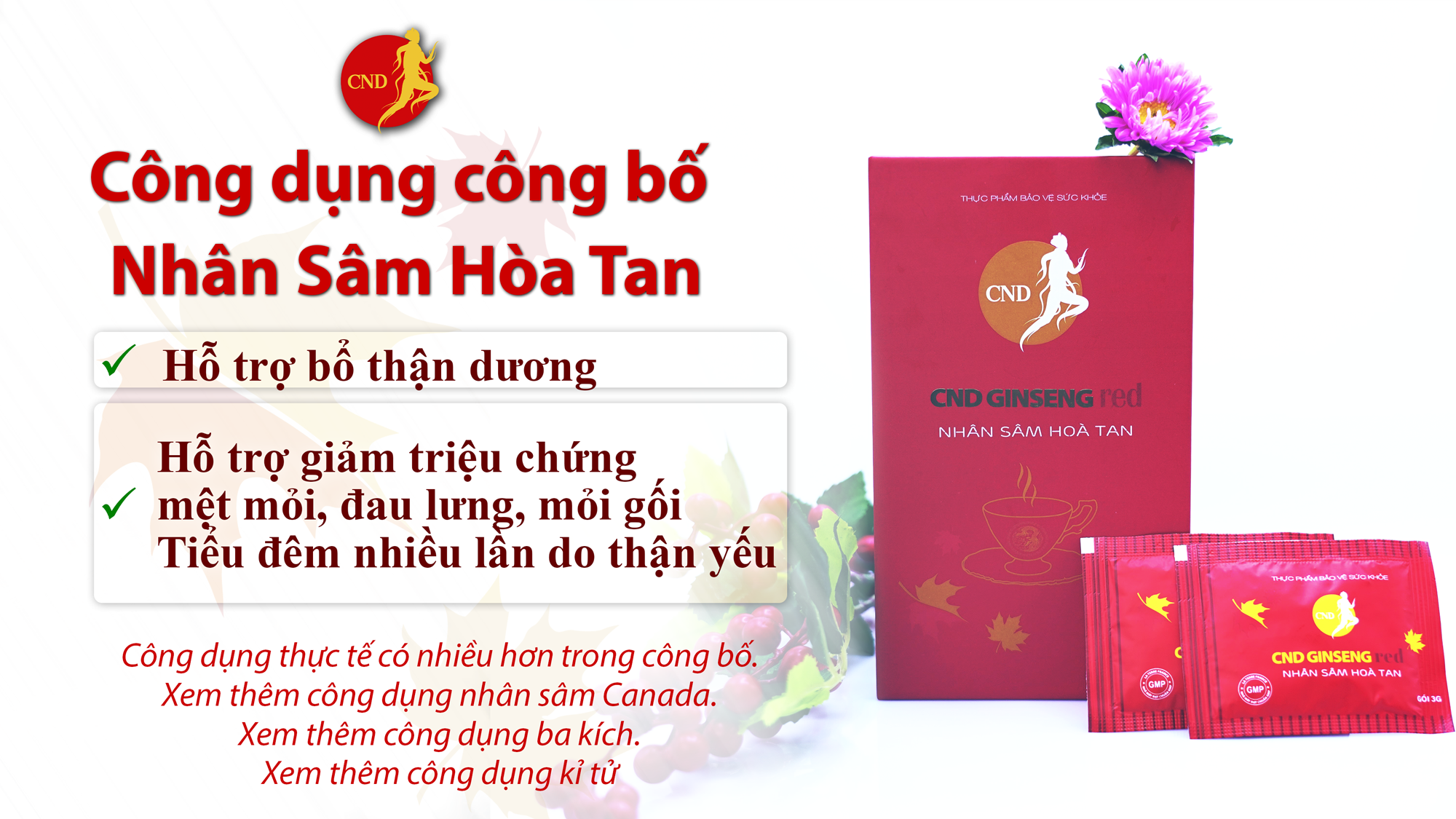 Nhân Sâm Hòa Tan CND GINSENG RED sâm nhập khẩu 100% từ Canada