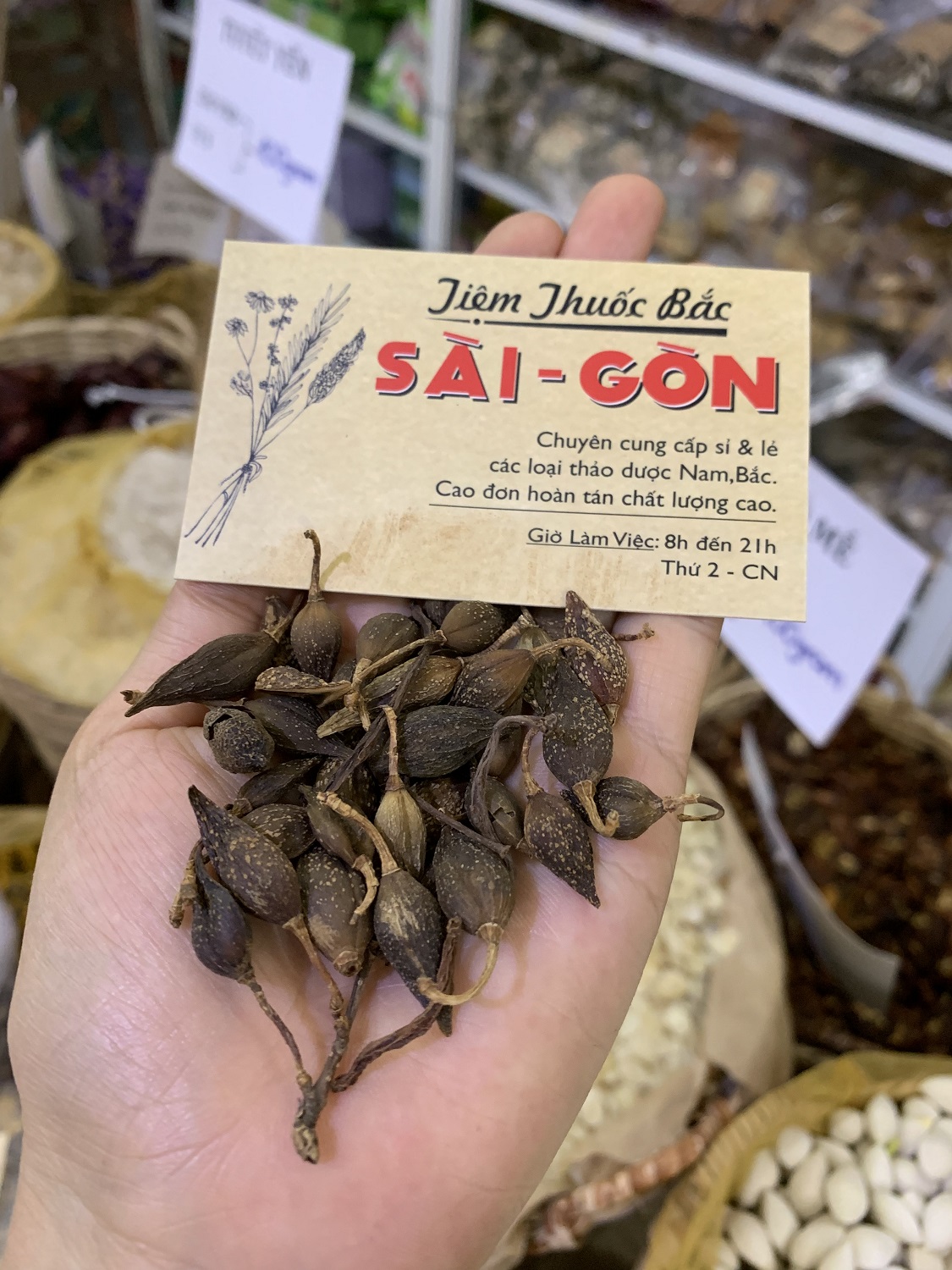 [HCM]QUẢ LIÊN KIỀU 100 GRAM Tiệm Thuốc Bắc Sài Gòn