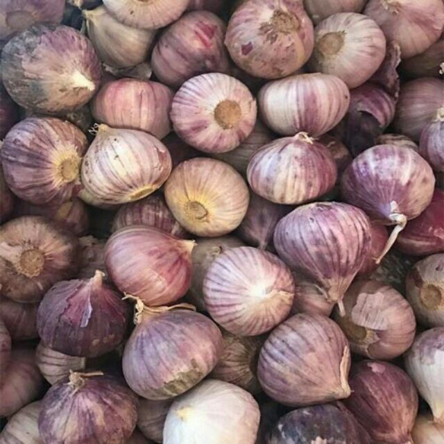 1kg Tỏi Cô Đơn Hàng Loại 1