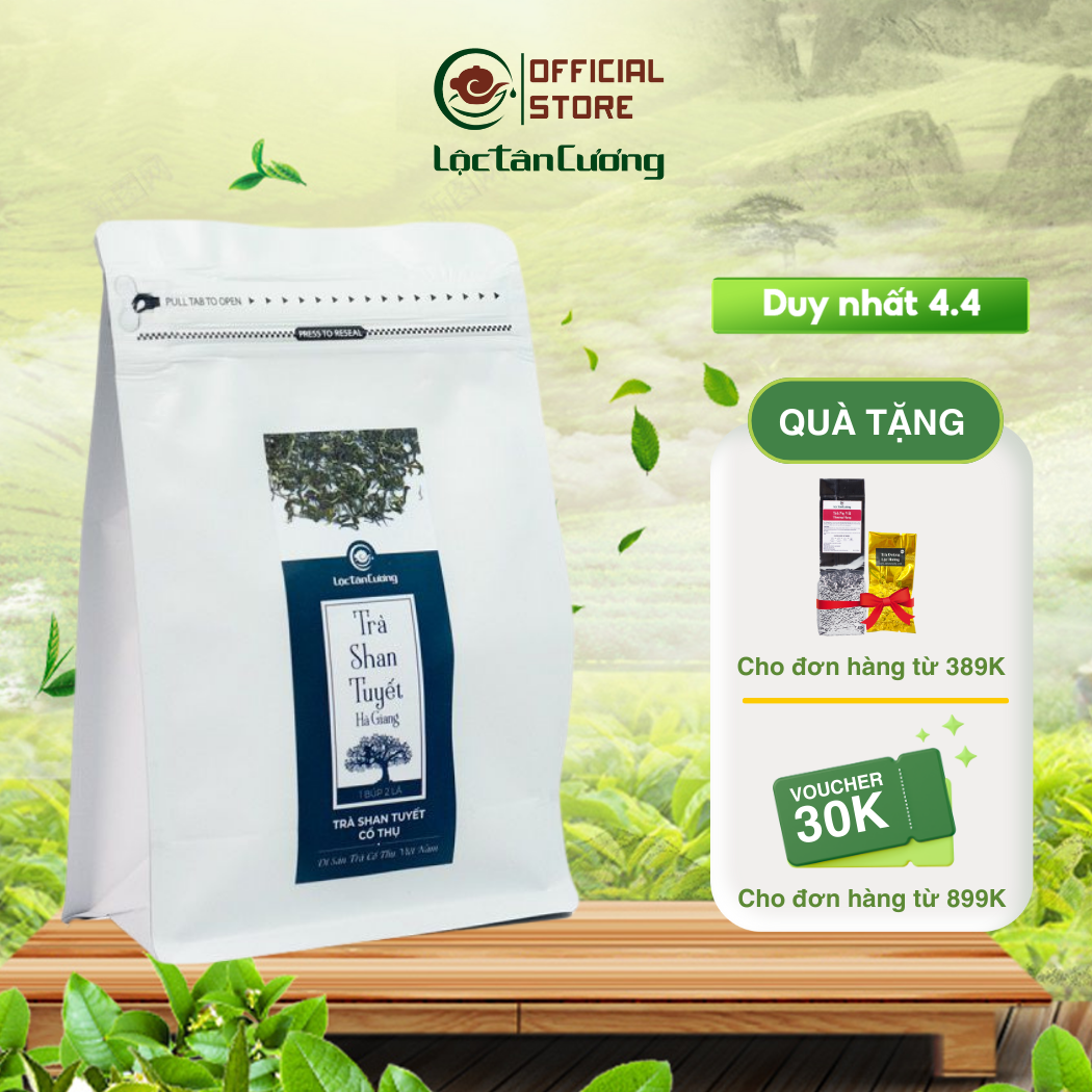 Shan Tuyet Ancient Tea from Ha Giang - Loc Tan Cuong - Northwest Specialty Ancient Tea - 100Gr Bag