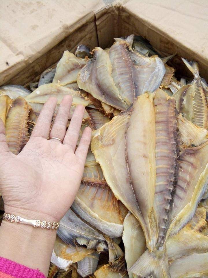 1kg Cá chim biển khô ngon