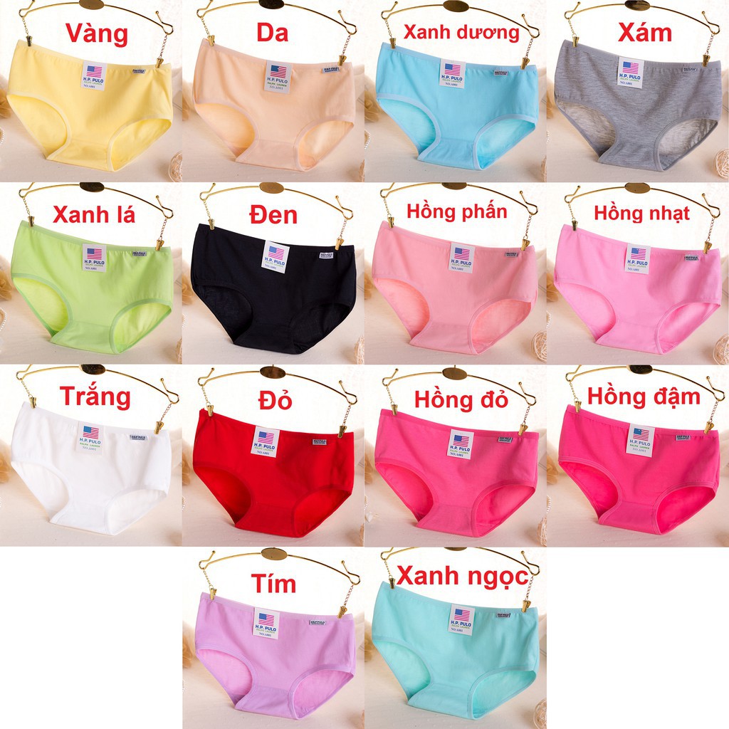 Combo 10 quần lót nữ cotton HP Pulo