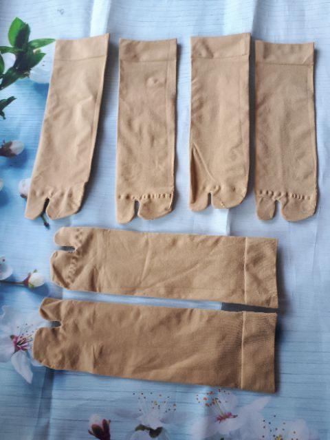 COMBO 10 VỚ SỎ NGÓN