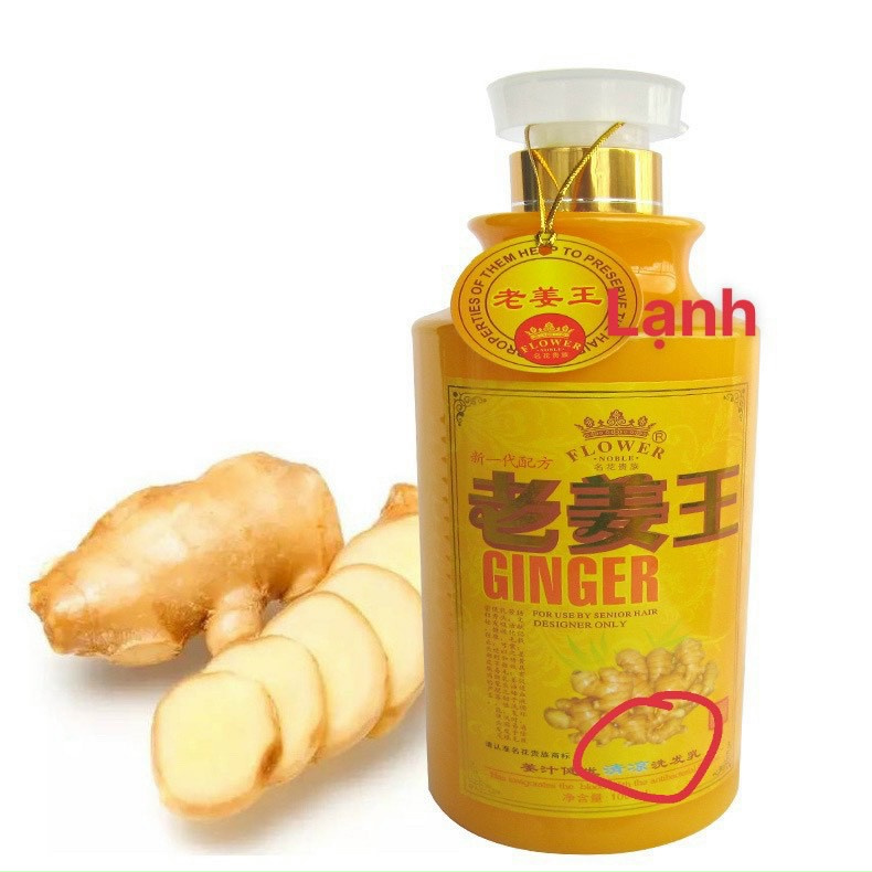 Dầu Dưỡng Sinh Gừng, Chăm Sóc Tóc, Chăm Sóc Massage Cơ Thể