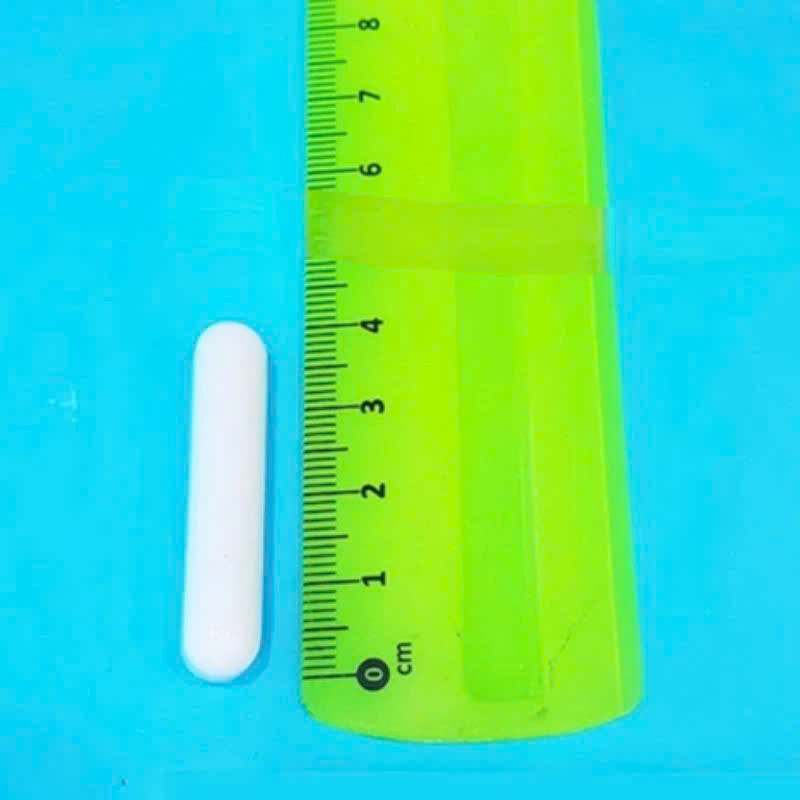 [HCM]Cá từ nam châm con nhộng con khuấy từ 4cm