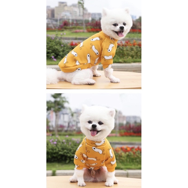 Áo nỉ chó LUCKY cho chó mèo