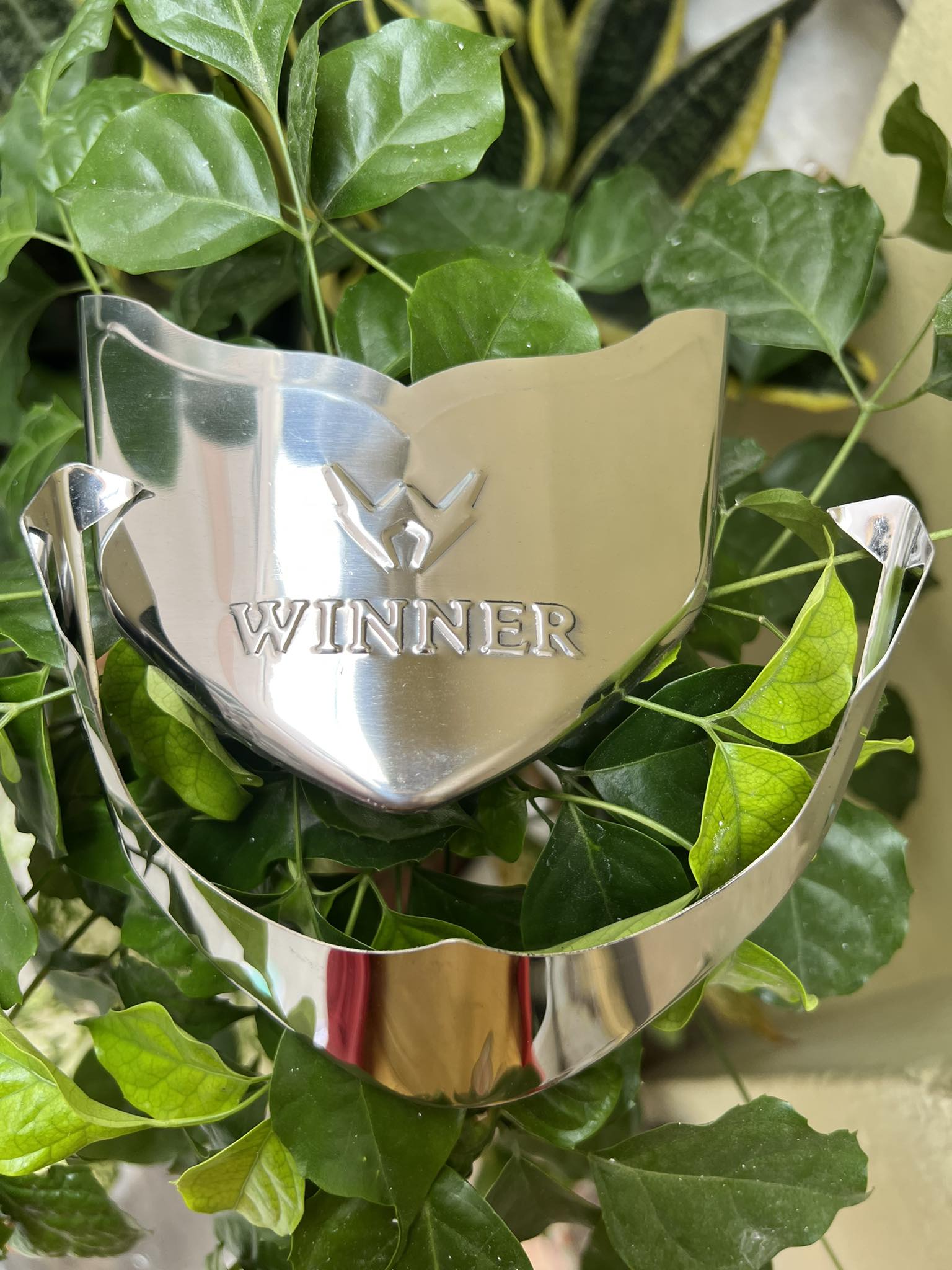 BỘ MỎ ĐUÔI DÈ XE WINNER X INOX