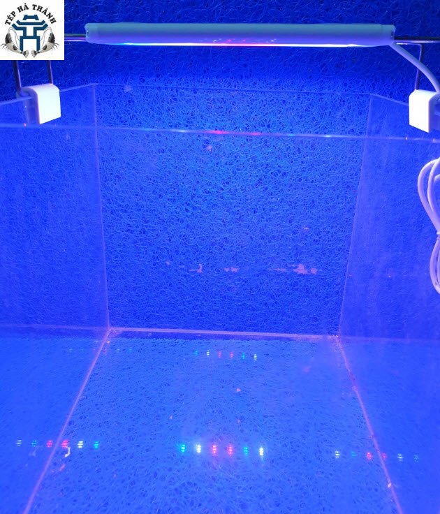 [Hoàn Tiền 10%] Đèn Led 3 Chế Độ Màu Lebaoyu Bể Cá, Bể Thủy Sinh 20cm