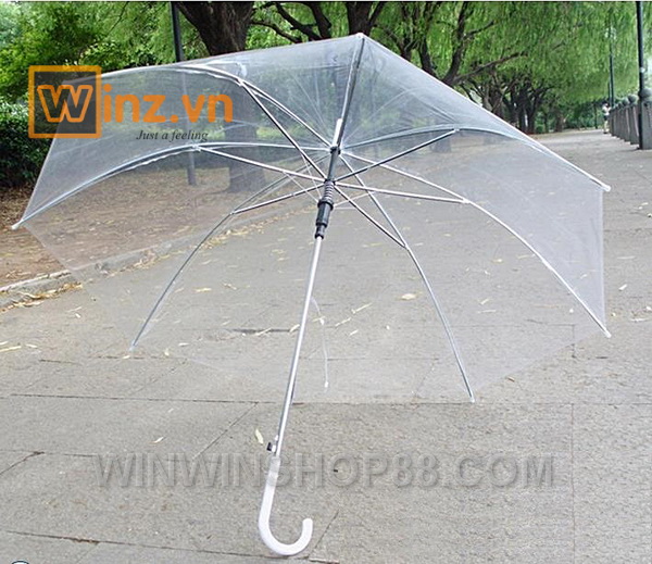 Ô Dù Trong Suốt Chụp Ảnh