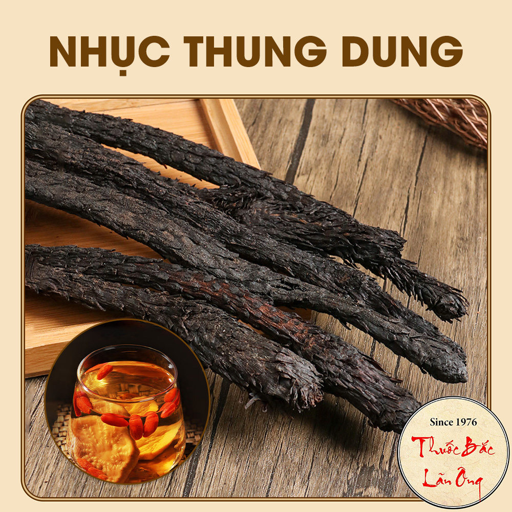 Nhục Thung Dung 200g (Củ Loại 1,To,Thơm)