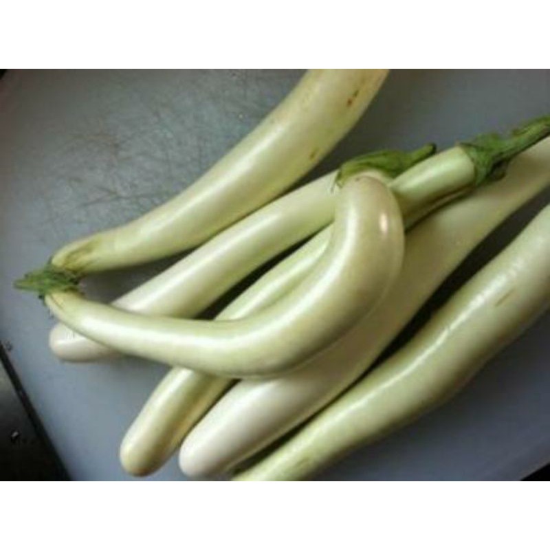 Hạt Giống Cà Tím Trắng Dài Mỹ - 100 Hạt