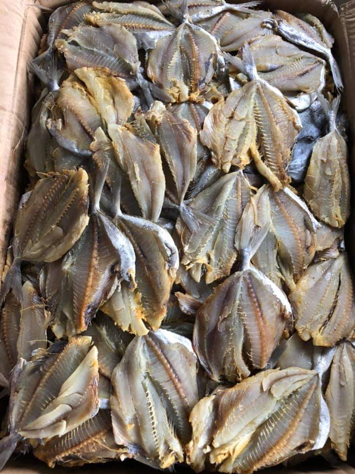1kg cá sứa (cá hạt bí) khô thịt béo, thơm