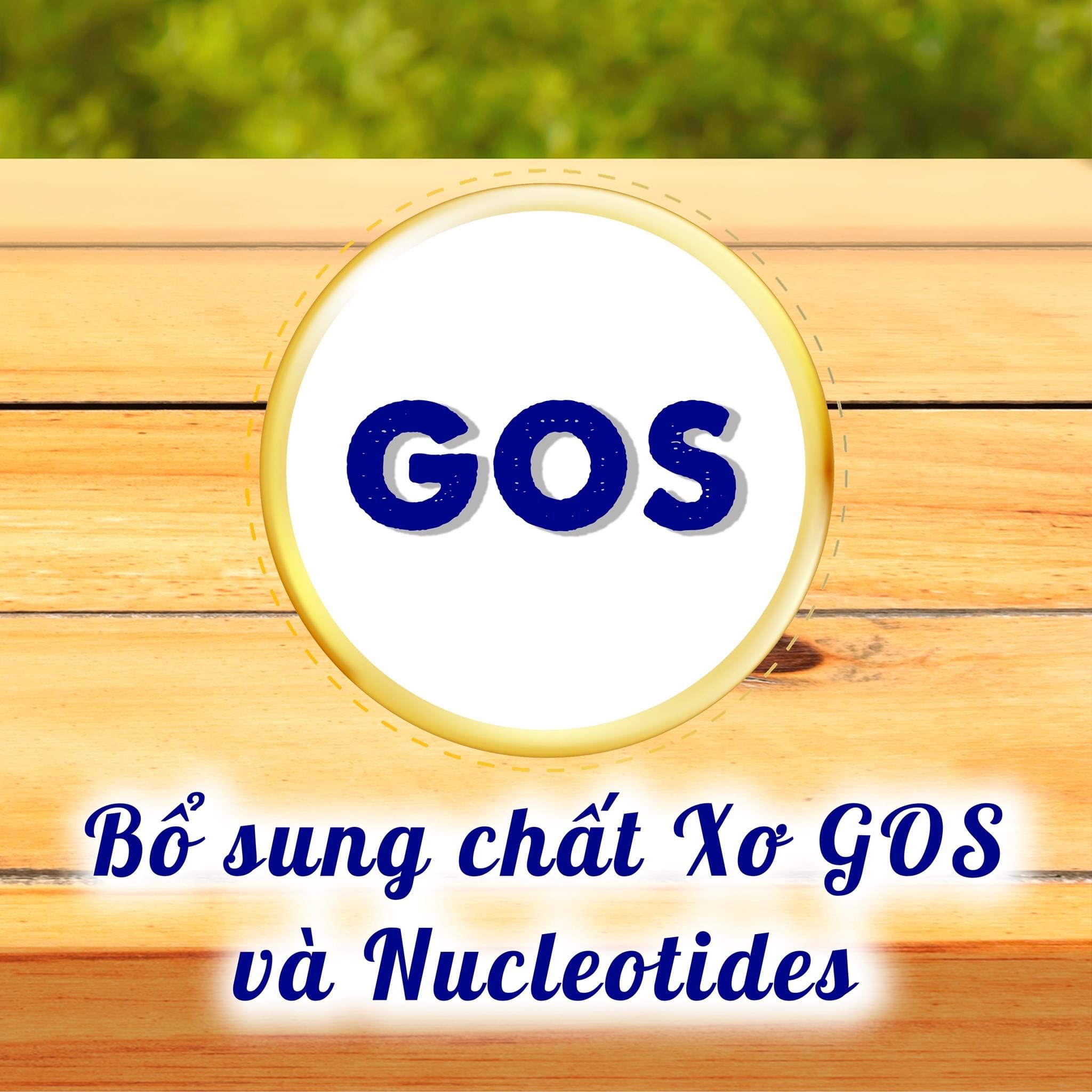 Sữa Humana Gold 3 800g