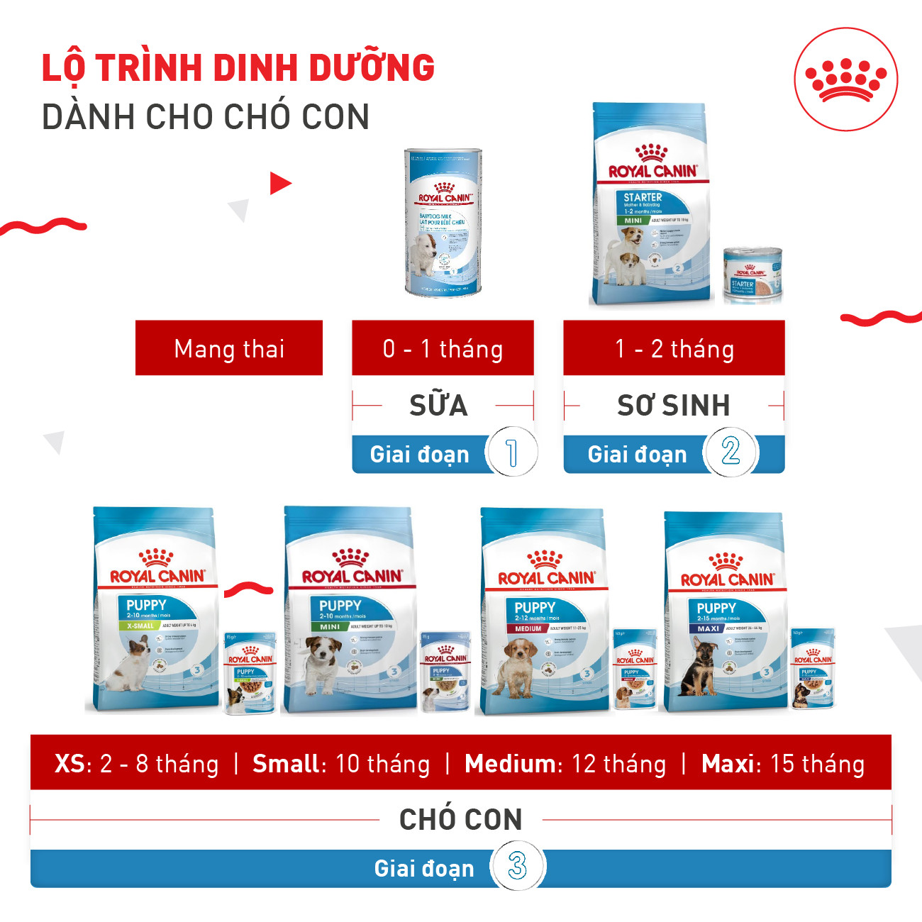 Hạt cho chó ROYAL CANIN Mini Dành cho chó cỡ Mini (tối đa 10kg)