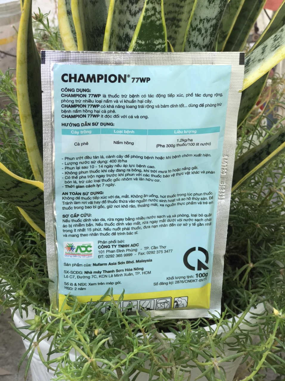 Champion 77WP Đặc tri nấm hồng và thán thư 100gr
