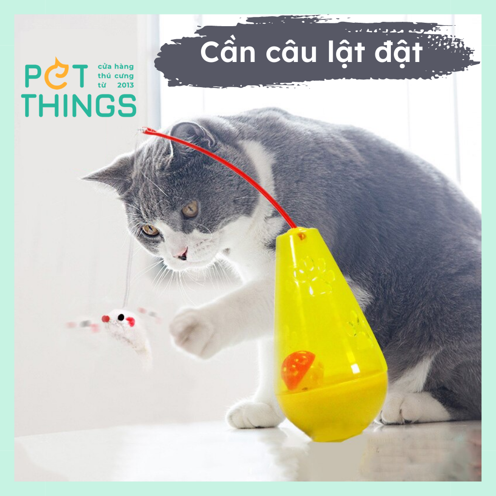 Toys with a fishing rod for cats