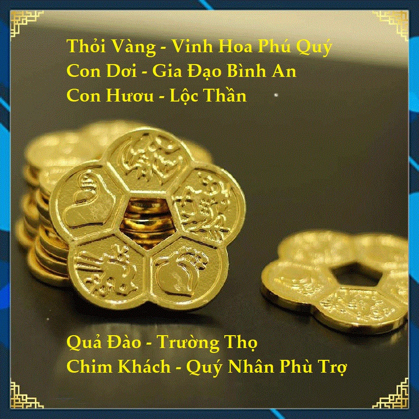 Đồng Xu Hoa Mai Kim Tiền