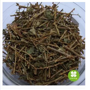 Cây cà gai leo (gói 1kg khô) - LV025