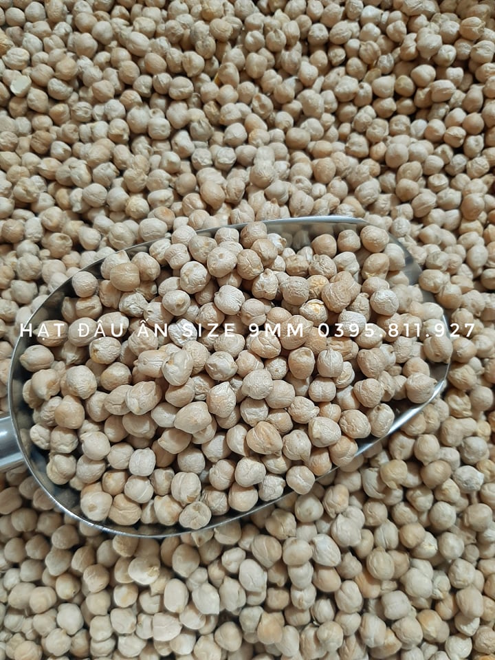 Hạt đậu gà Ấn Độ (đậu Chickpeas)