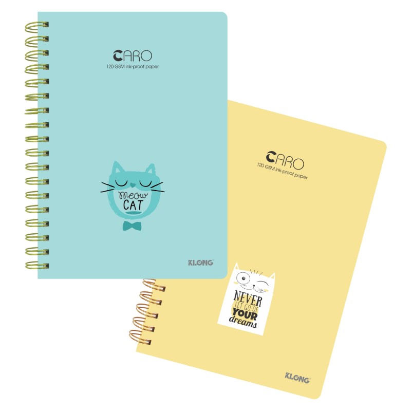 Sổ lò xo kép Caro B5 200tr (297)