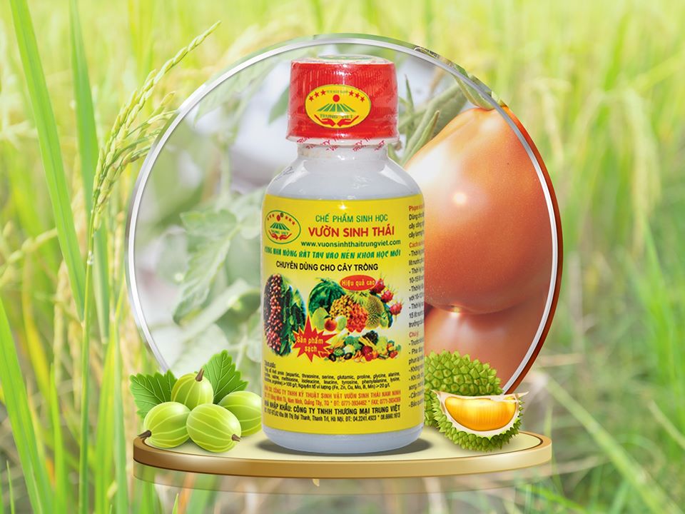 Vườn sinh thái cây trồng (dinh dưỡng cho cây)