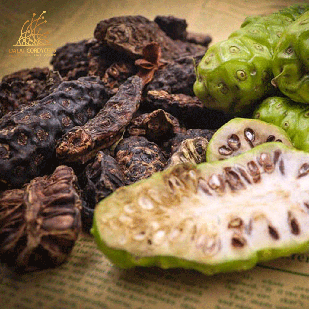 Trái nhàu sấy khô - Dalat Cordyceps