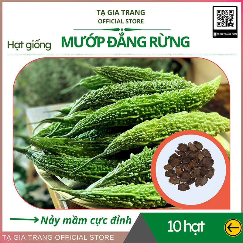 Hạt giống mướp đắng (khổ qua) rừng