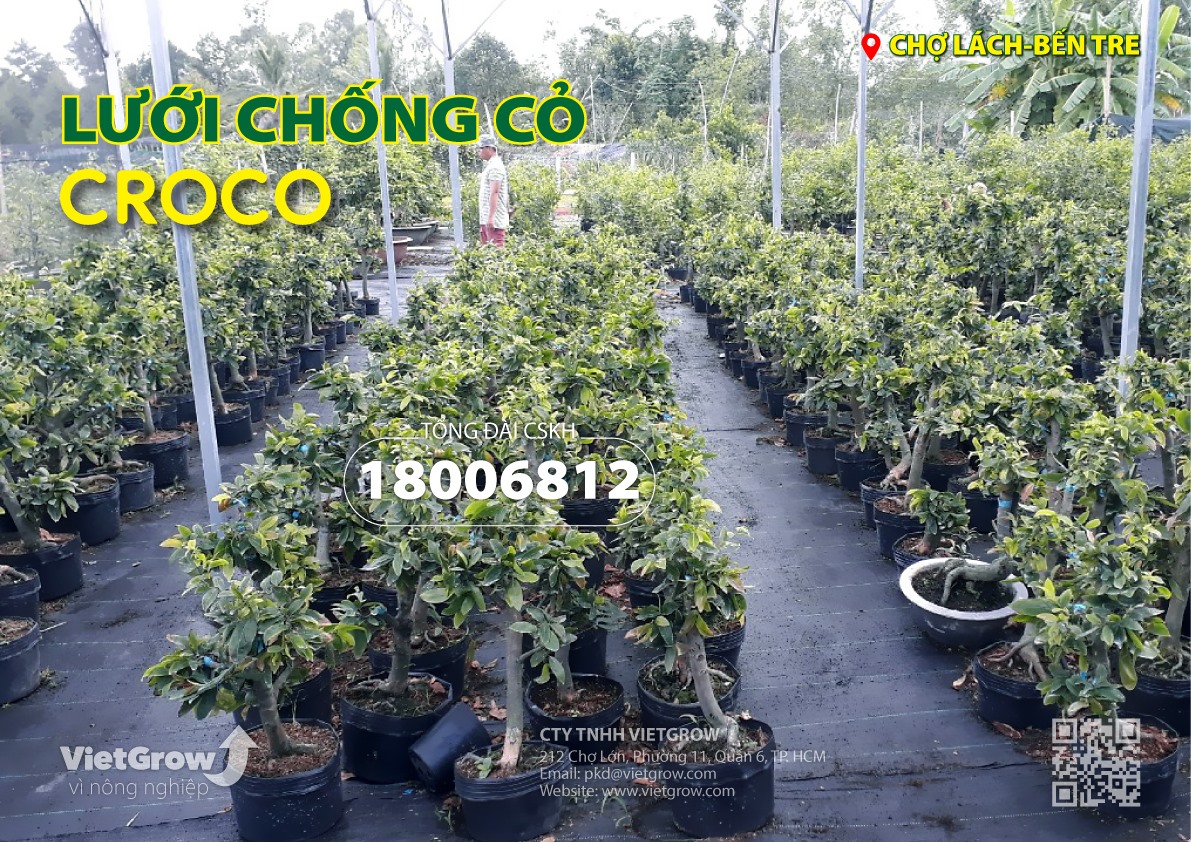 LƯỚI CHỐNG CỎ / BẠT CHỐNG CỎ /BẠT DIỆT CỎ THƯƠNG HIỆU CROCO