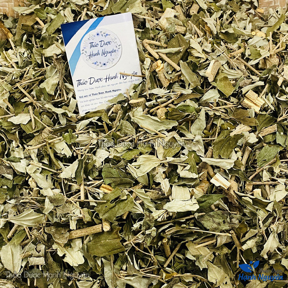 Lá khổ sâm 1kg, khô, sạch, hỗ trợ giảm đau dạ dày, đại tràng, khó tiêu, đầy hơi, tốt cho tiêu hóa
