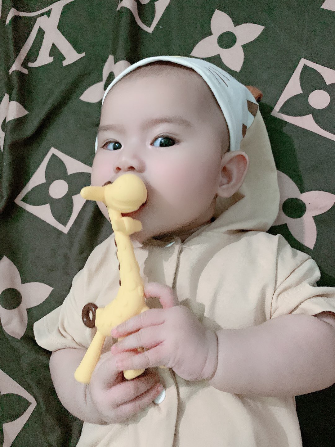 Gặm Nướu Hình Hươu An Toàn Cho Bé