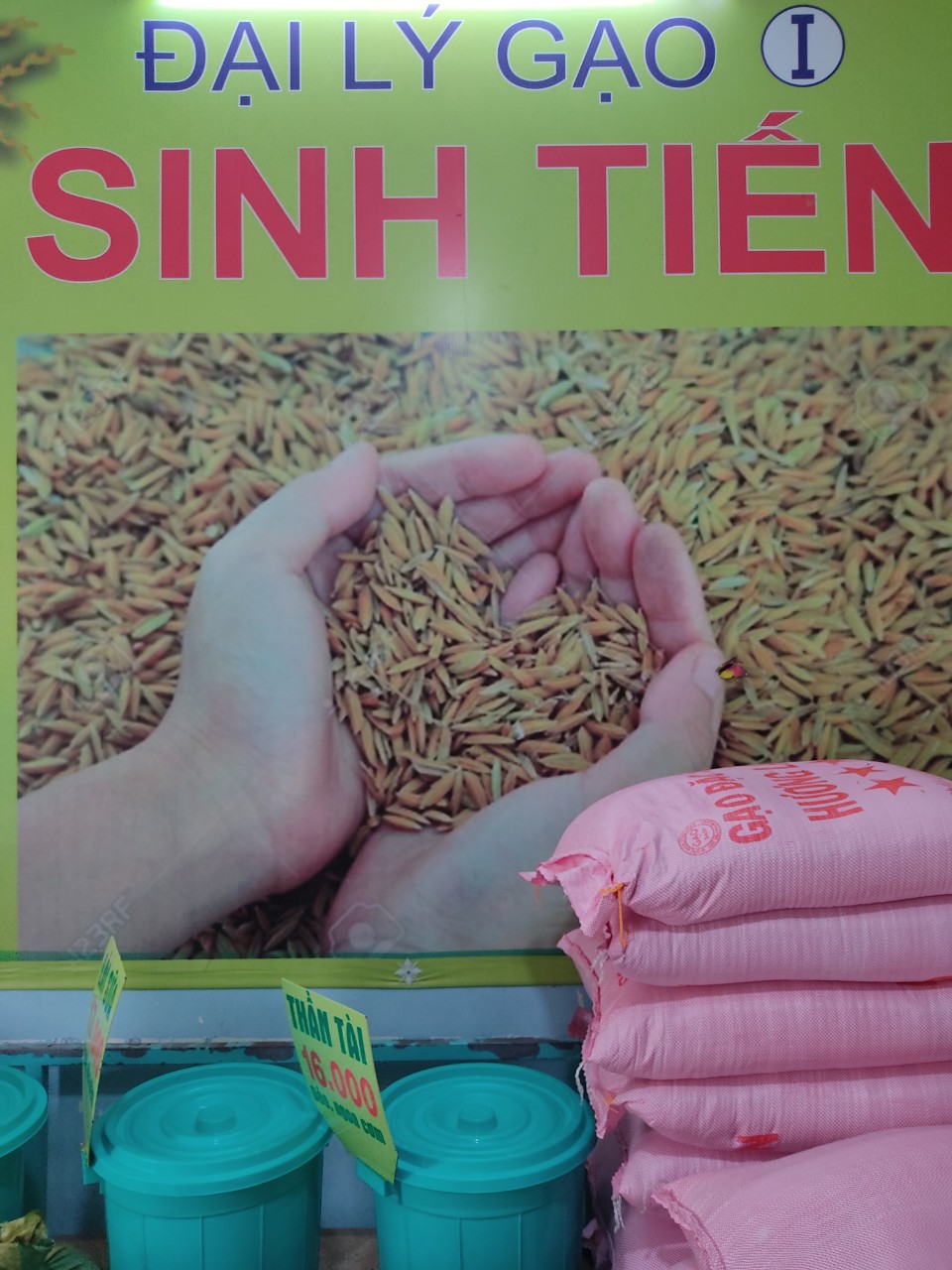 Miến Dong ( 100% bằng củ dong Cao Bằng)