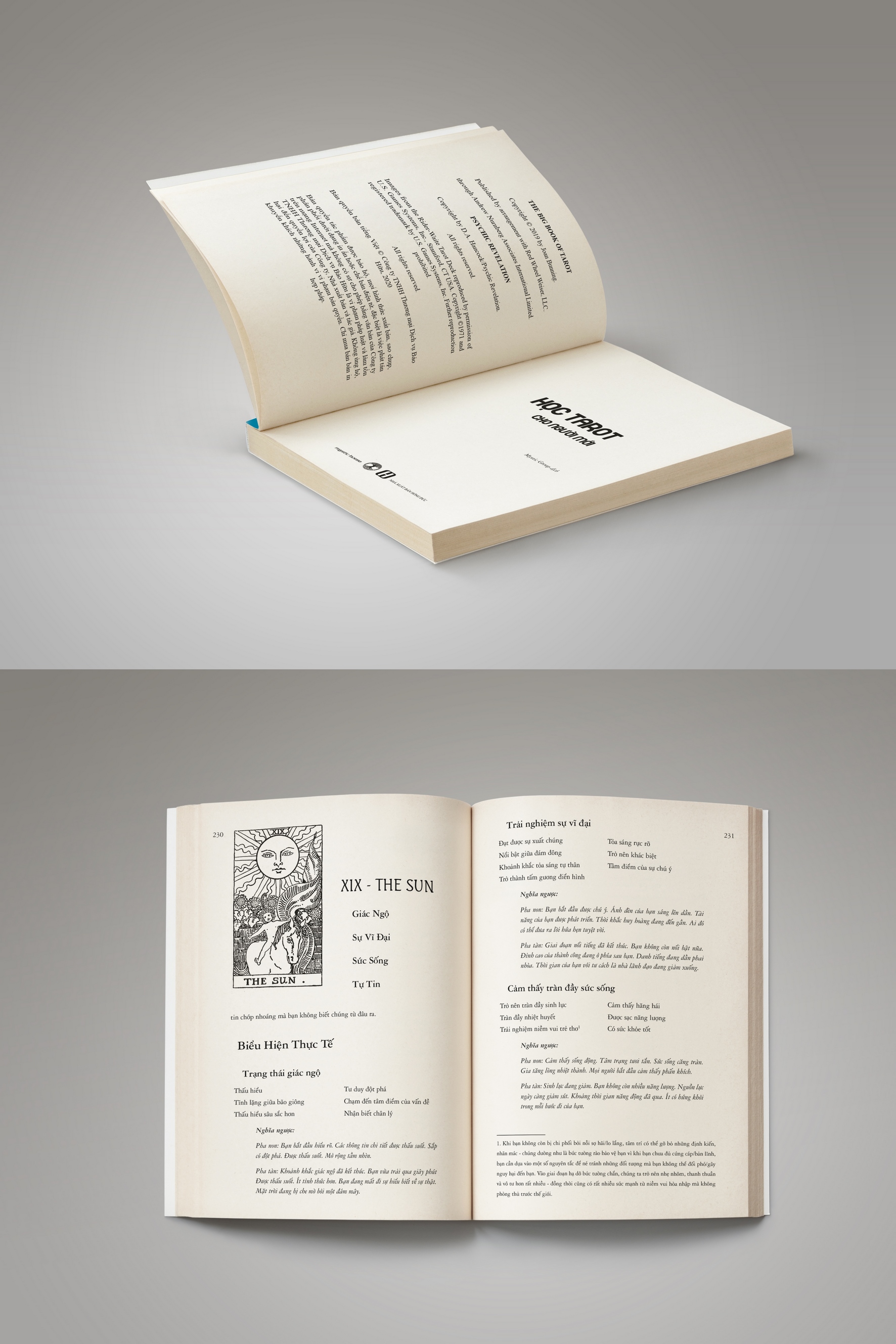 Tarot for Beginners (Vietnamese Edition)