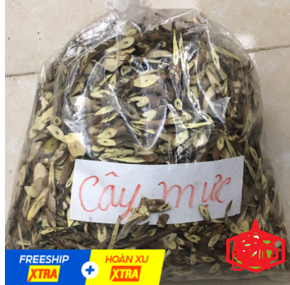 Cây mực khô 1KG hàng chuẩn loại 1