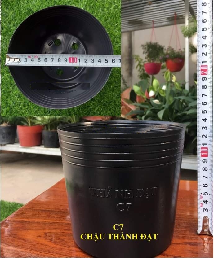 Chậu nhựa mềm đen đủ size kích thước tha hồ chọn