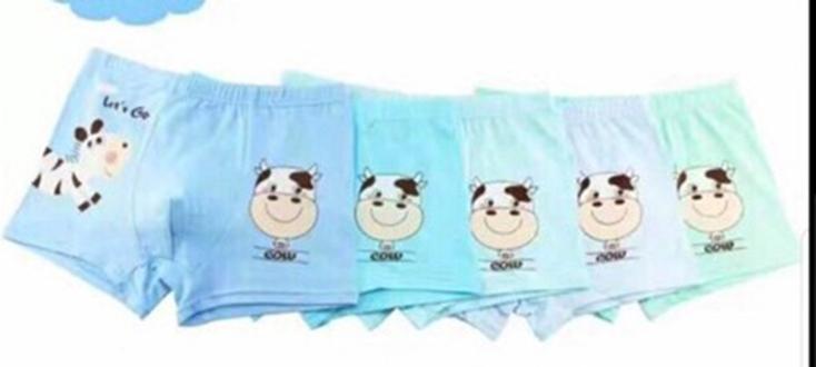 COMBO 5 QUẦN CHIP BÉ TRAI COTTON CAO CẤP  17 đến 25kg