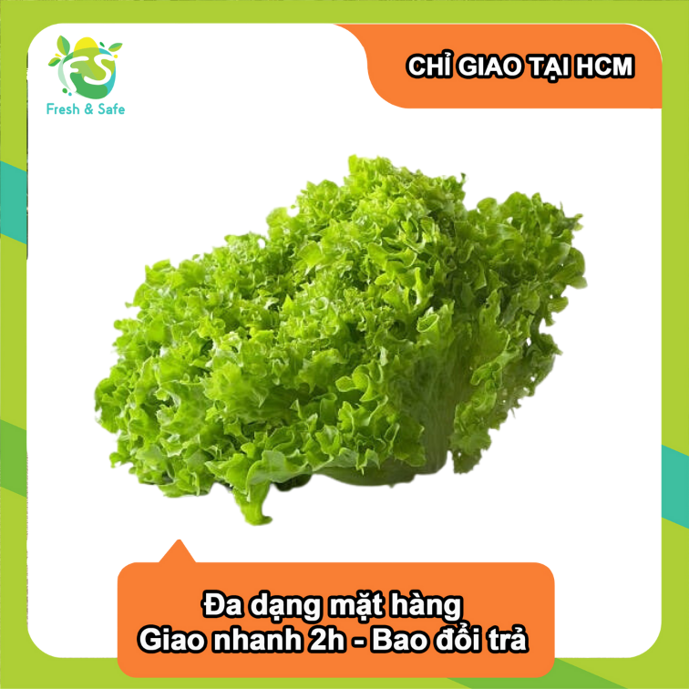 [Chỉ Giao HCM] Xà Lách Lolo Xanh - 300g