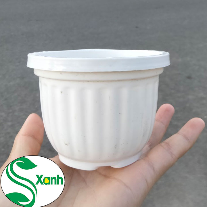 10 chậu treo Mini Kích thước 11x9