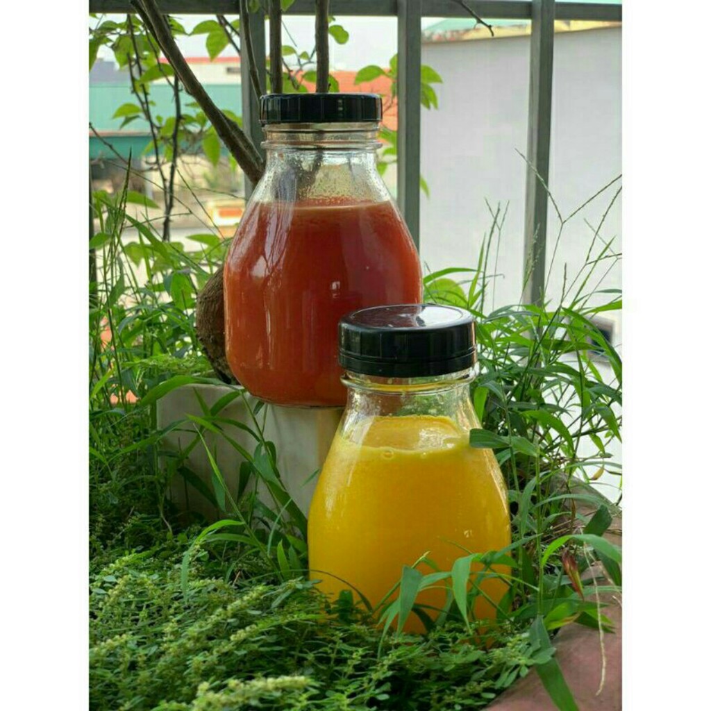 Chai Thuỷ Tinh Vuông Lùn Miệng Rộng Nắp Nhựa 330ml 500ml | Đựng sữa chua , nước ép , trà lên men