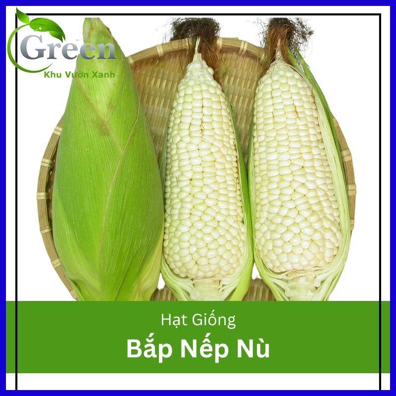 Hạt Giống Bắp Nếp Nù OP (Gói 50 Gam) Dẻo Ngon, Dễ Trồng