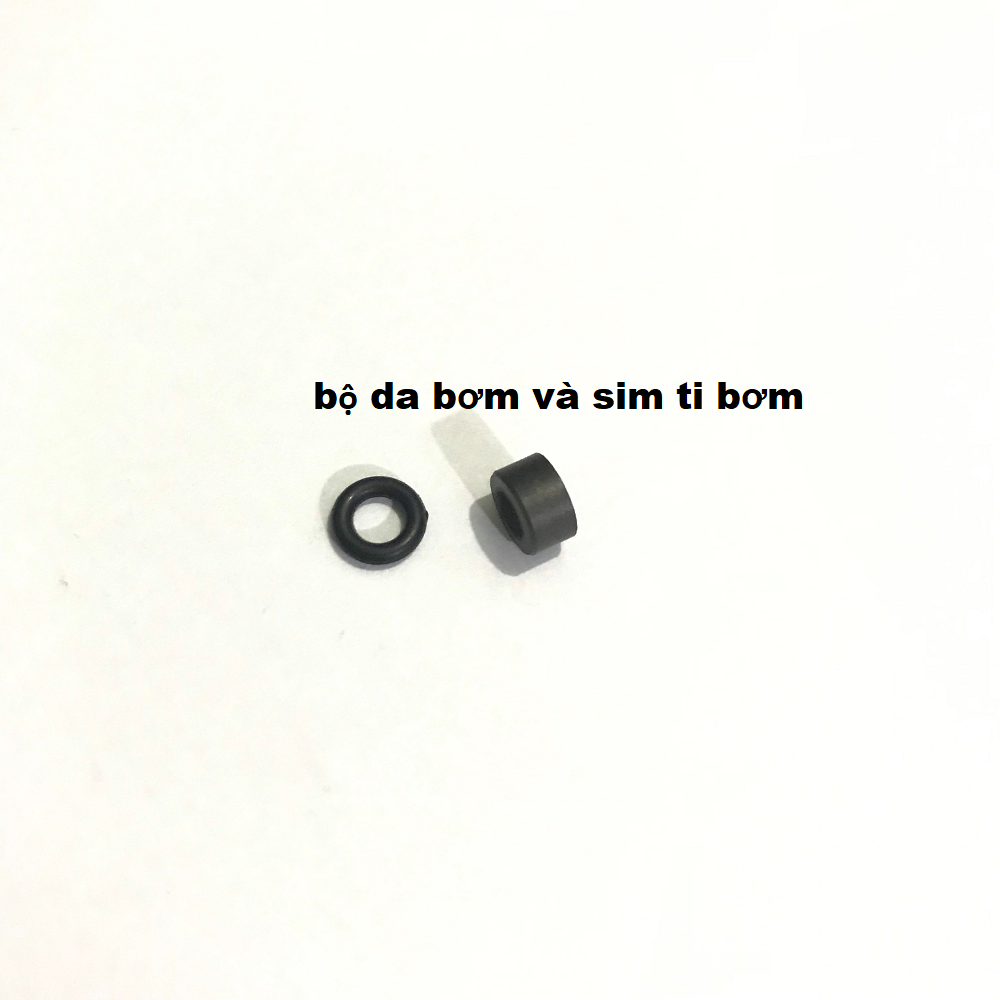 gioăng sim ti bơm secmen thay bơm cao áp
