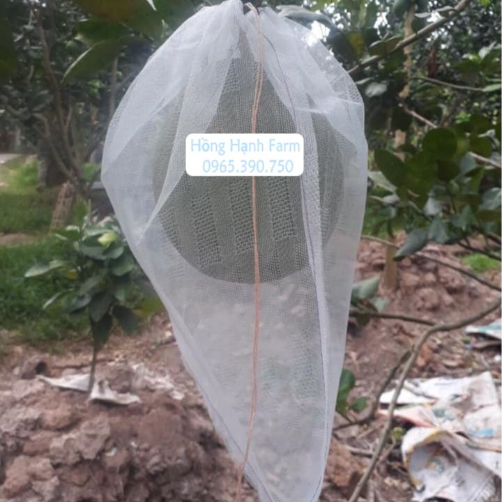 Túi bao bưởi 30x35cm