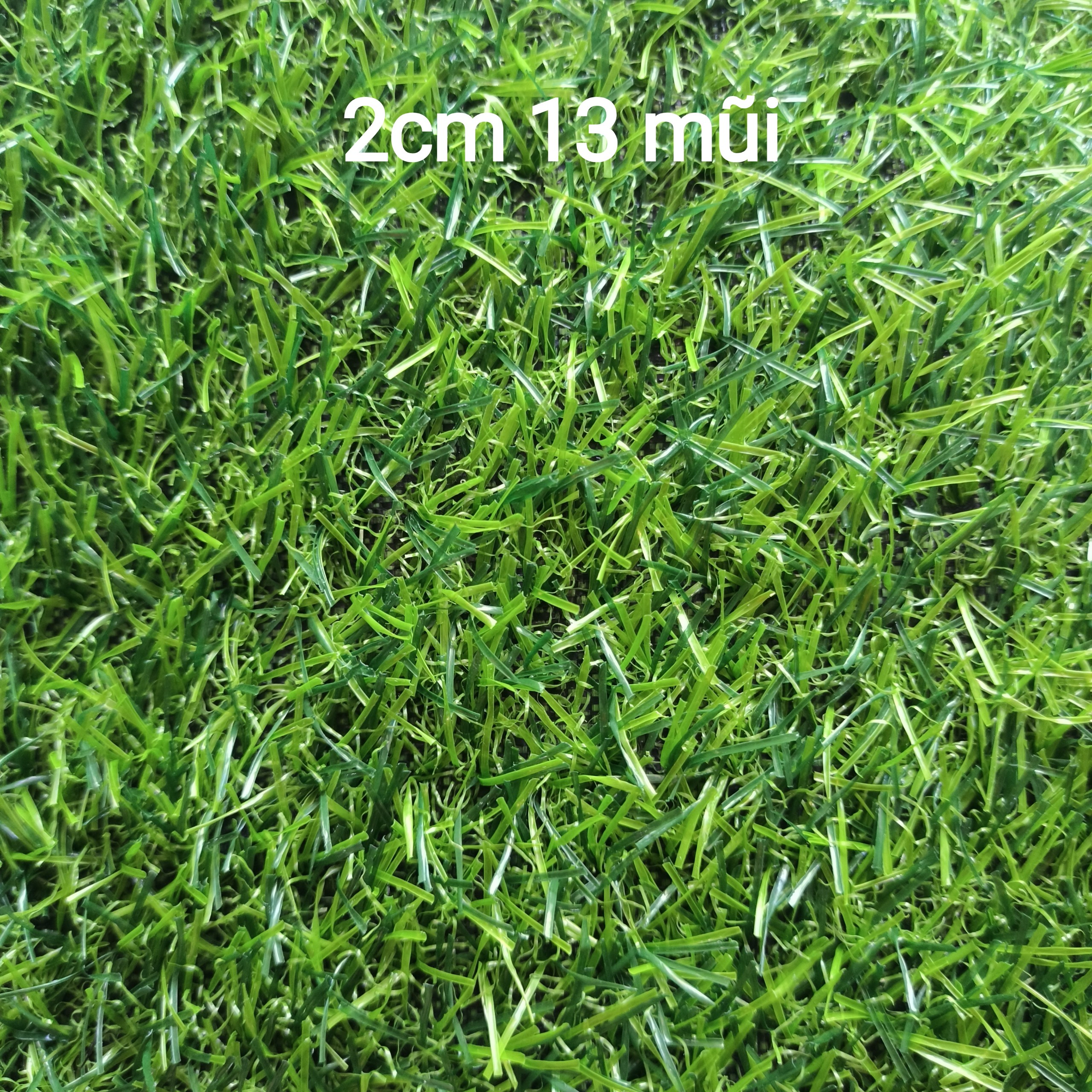 (50cm x 50cm) Thảm cỏ nhân tạo 2cm giá rẻ (quý khách đọc kỹ mô tả)