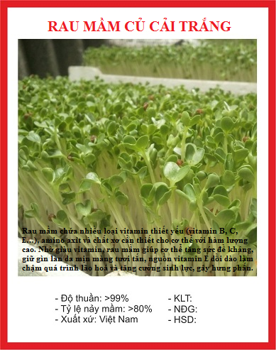 Hạt giống rau mầm củ cải trắng - gói 20gram