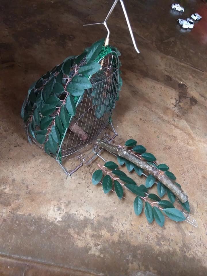 Lồng Chim Cảnh Cu Gáy Đánh Cây