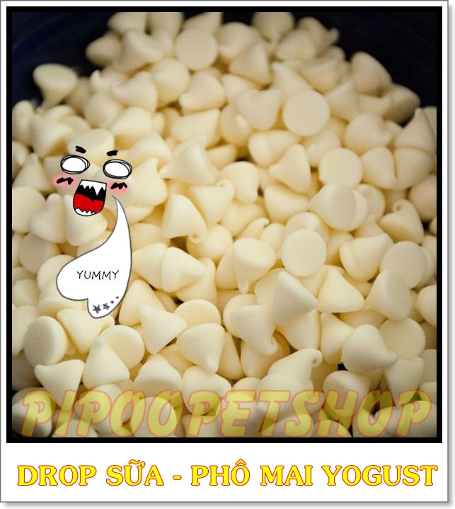 Phô mai cho Hamster - Drop sữa